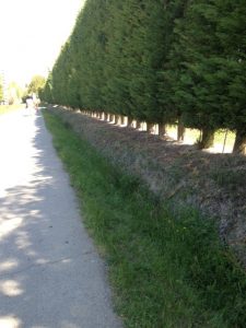 13. Canal des Alpilles which is a crucial water source.