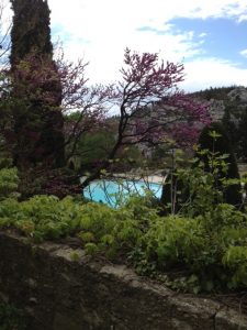 2. Plenty of private pools shaded with the gorgeous arbre de judée , a tree so pink in May.