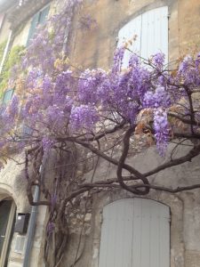 4. Plenty of fragrant wisteria on facades and terraces.